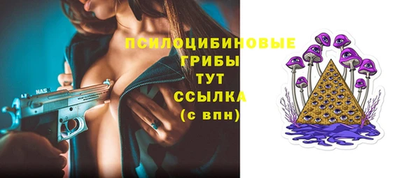 меф Арсеньев