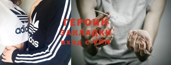прущие грибы Вязьма