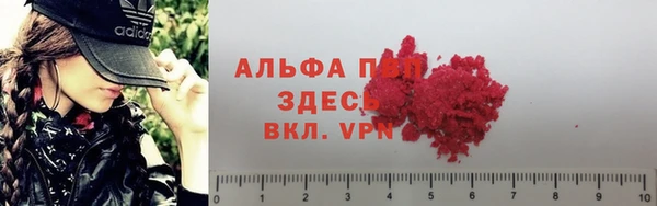меф Арсеньев