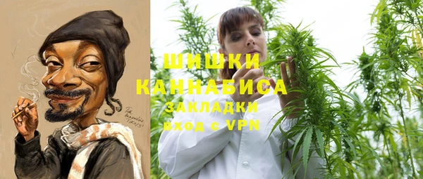 ГАЛЛЮЦИНОГЕННЫЕ ГРИБЫ Армянск
