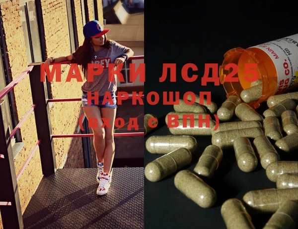ГАЛЛЮЦИНОГЕННЫЕ ГРИБЫ Армянск