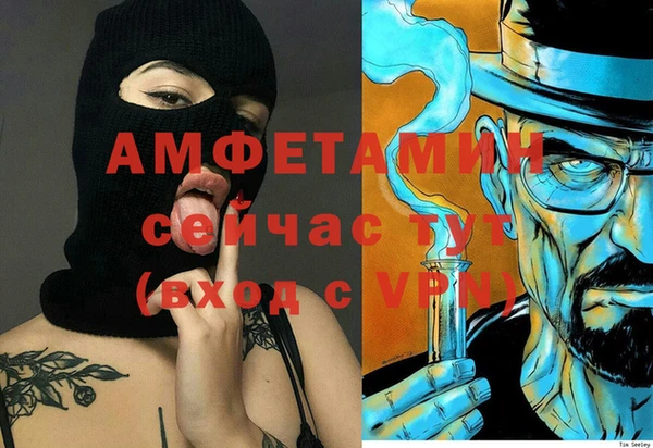 меф Арсеньев