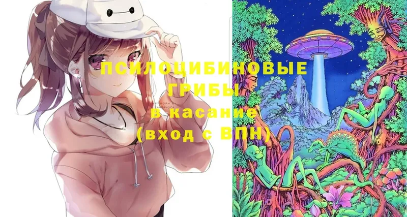 Галлюциногенные грибы Magic Shrooms  Исилькуль 